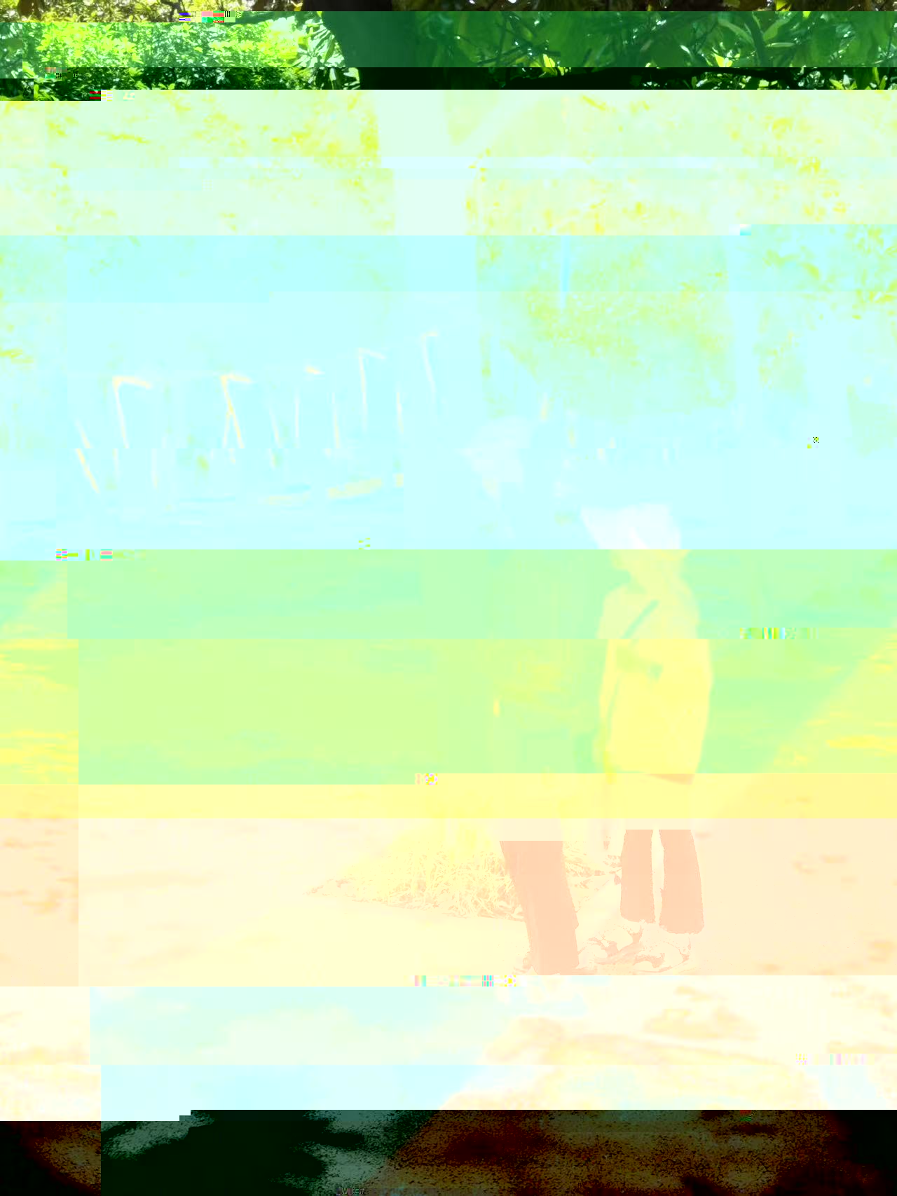 fabbd5dd1c6148fc9d4e7d8fb4b585f5.jpg